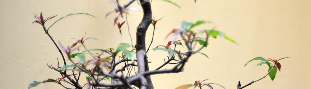 – GS-Tec, Wir lösen technische Probleme!